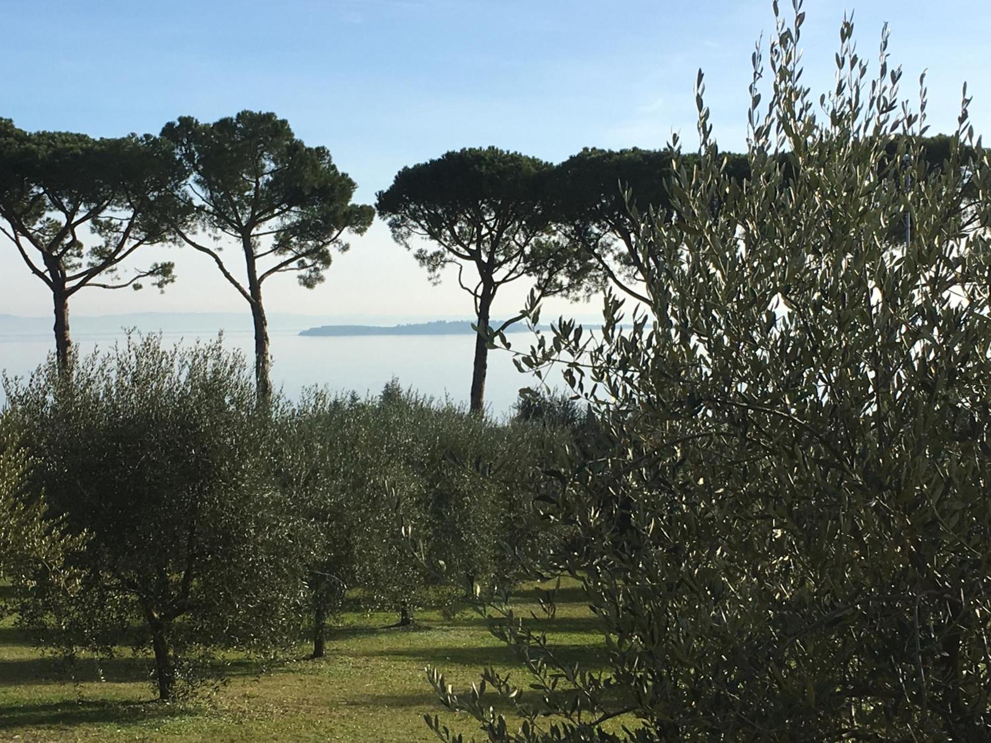 Agriturismo Nonna Bettina Moniga del Garda Exterior photo